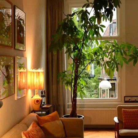 公寓 Entire With Direct Vondelpark View 阿姆斯特丹